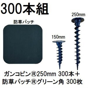 (300{gZbg) f| Xavan Uo[ i KRs250mm 300{+hpb` 300 O[ 120mmpRtЖʃe[v P-GA250-XTP50GR (hV[g JPV[g) O[tB[h@zm