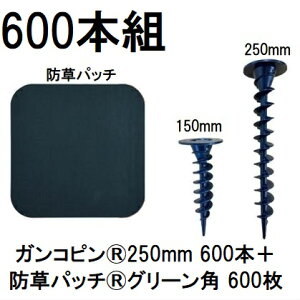 (600{gZbg) f| Xavan Uo[ i KRs250mm 600{+hpb` 600 O[ 120mmpRtЖʃe[v P-GA250-XTP50GR (hV[g JPV[g) O[tB[h@zm