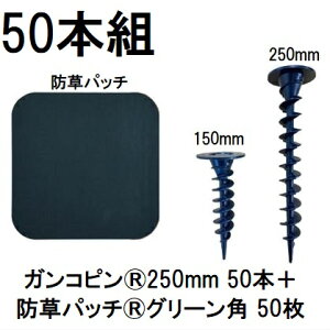 (50{gZbg) f| Xavan Uo[ i KRs250mm 50{+hpb` 50 O[ 120mmpRtЖʃe[v P-GA250-XTP50GR (hV[g JPV[g) O[tB[h@zm