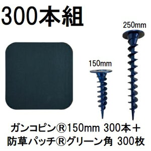 (300{gZbg) f| Xavan Uo[ i KRs150mm 300{+hpb` 300 O[ 120mmpRtЖʃe[v P-GA150-XTP600GR 15cm (hV[g JPV[g) O[tB[h@zm