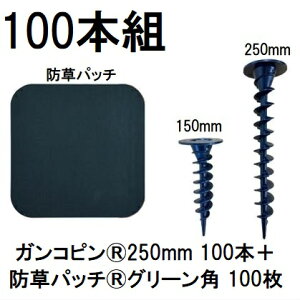 (100{gZbg) f| Xavan Uo[ i KRs250mm 100{+hpb` 100 O[ 120mmpRtЖʃe[v P-GA250-XTP50GR (hV[g JPV[g) O[tB[h@zm