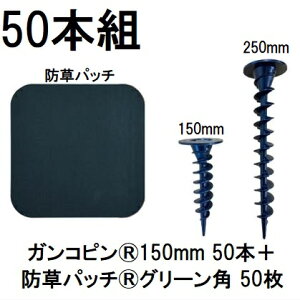 (50{gZbg) f| Xavan Uo[ i KRs150mm 50{+hpb` 50 O[ 120mmpRtЖʃe[v P-GA150-XTP50GR 15cm (hV[g JPV[g) O[tB[h@zm