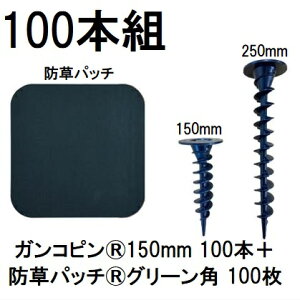 (100{gZbg) f| Xavan Uo[ i KRs150mm 100{+hpb` 100 O[ 120mmpRtЖʃe[v P-GA150-XTP600GR 15cm (hV[g JPV[g) O[tB[h@zm