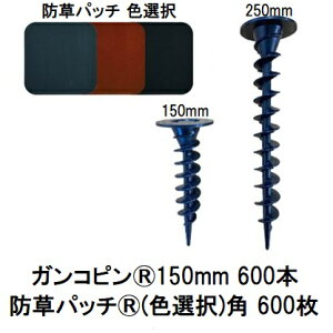 (600{gZbg) f| Xavan Uo[ i KRs150mm 600{+hpb` 600 (FI) 120mmpRtЖʃe[v (hV[g JPV[g) O[tB[h (@llI)@zm