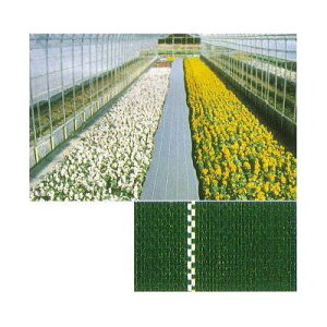 (ϋv hV[g) JPV[g  100cm×100m yV[g GNXeA _@ 돤XzFIт (hpV[g) JNCJ