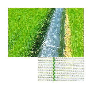 (ϋv hV[g) JPV[g 200cm×100m yV[g GNXeA _@ 돤XzFIт (hpV[g) JNCJ