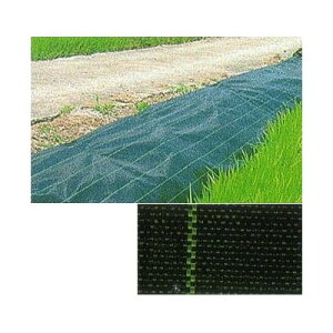 (ϋv hV[g) JPV[g 400cm×100m yV[g GNXeA _@ 돤XzFIт (hpV[g) JNCJ