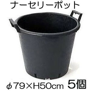 i[Z[|bg 160L RP79×H50cm L(+ꌊ̂)5P(Aؔ vX`bN)