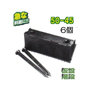 (6Zbg 6i) XΖʗp v ݊Ki50-45 50^ 500mm XΊpx45° ʎ  @ vY12{t T| (@l/l I)