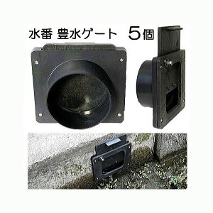 (5Zbg)  LQ[g100 cp cp i Q[gj T| i10j