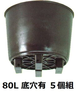 (5個セット) 果樹栽培用大型ポット サンポット 80L 底穴有 サンポリ (法人/個人 選択)