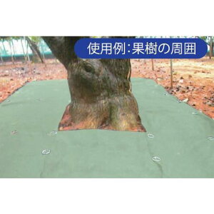  #140  4m×25m ϗpNF8N (G} x ϋv @  ʎ V[g) ˒