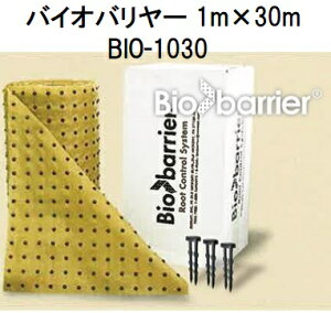 oCIo[ 1m×30m BIO-1030 O[tB[h (@llI)