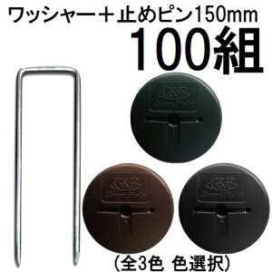 (100gZbg) f| Xavan i Uo[p GFbV[  R^~߃s150mmZbg 100g hbV[ R̎s (hV[g JPV[g) (FI)