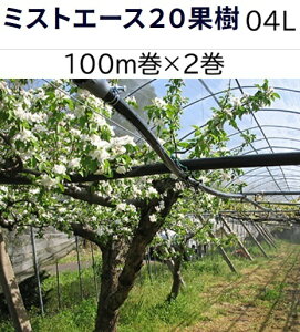 (100m×2���Z�b�g����) �~�X�g�G�[�X20 �ʎ� 04L 100m��×2 WB8375 �Z���_�Ǝ��� (�l��ւ͎�񔭑�)