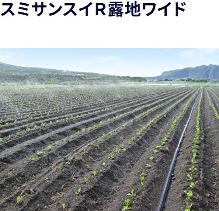 楽天市場】(100m巻) 灌水ホース スミサンスイ R 露地ワイド 100m巻×1 