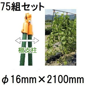 (25g×3Zbg) 16mm×2100mm ̗p Ix 16×2100mm (75gZbg) rj[ (ls @llI) yGNXeA _@ 돤Xz