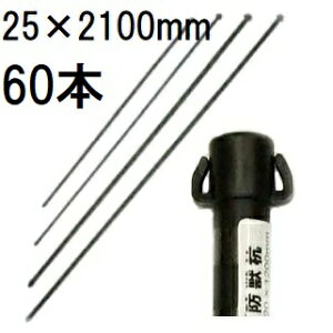 (p60{Zbg) 25mm×2100mm CmVVAAK̖hbY 25×2100mm rj[ (ls @llI)