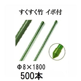 (500本セット特価) すくすく竹 イボ付 φ8mm×1800mm 農業用支柱 イボ竹 8×1800mm 第一ビニール (個人宅配送不可 法人個人選択) [農機具、園芸用品、瀧商店]