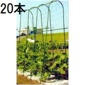 (20{Zbg) ؉ A[`x A-180^ Ԍ32cmOa14mm×180cm (@l͂orcƏI) rj[ (lzs)