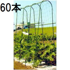 (60{Zbg) ؉ A[`x A-180^ Ԍ32cmOa14mm×180cm (@l͂orcƏI) rj[ (lzs)