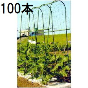 (100{Zbg) ؉ A[`x A-180^ Ԍ32cmOa14mm×180cm (@l͂orcƏI) rj[ (lzs)