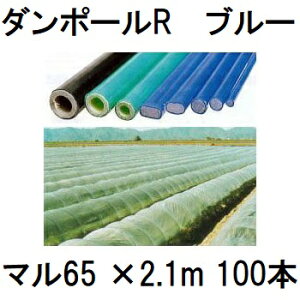 (iE[) (100{Zbg) _|[R }65 ×2.1m  gl100cm (lzOK) mu[ ƒ؉ gl x 돤Xn FGNV@saka