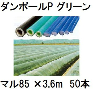 (50{Zbg) _|[P }85 ×3.6m  gl180cm (lzOK)m|x ƒ؉ glx x 돤Xn FGNV@saka