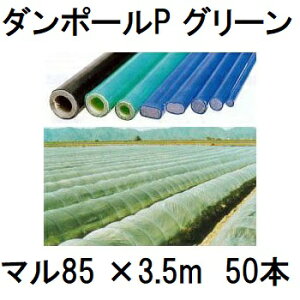 (50{Zbg) _|[P }85 ×3.5m  gl180cm (lzOK) m|x ƒ؉ glx x 돤Xn FGNV
