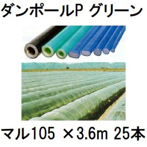 (iE[) (25{Zbg) _|[P }105 ×3.6m  gl200cm (lzOK) m|x ƒ؉ glx x 돤Xn FGNV@saka