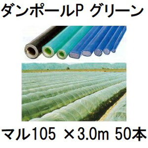 iE10{ȍ~ (50{Zbg) _|[P }105 ×3.0m  gl160cm (lzOK) m|x ƒ؉ glx x 돤Xn@saka