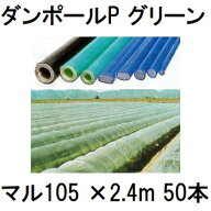 (50本セット) ダンポールP マル105 ×2.4m 緑 トンネル幅120cm (法人or営業所止め) ［園芸支柱 家庭菜園 …