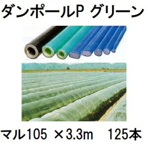 (iE[) (125{Zbg) _|[P }105 ×3.3m  gl170cm (lzOK) m|x ƒ؉ glx x 돤Xn FGNV