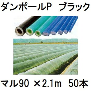 (50{Zbg) _|[P }90 ×2.1m  gl100cm (lzOK)m|x ƒ؉ glx x 돤Xn FGNV@saka