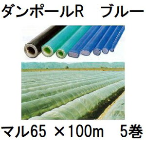 (5Zbg) _|[R }65 100m  ×5 (lzOK) m|x u[ ƒ؉ gl x 돤Xn FGNV