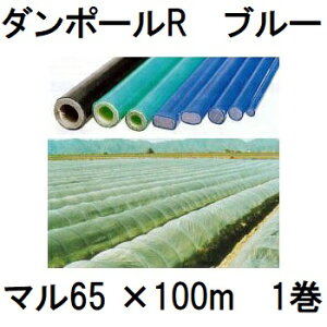 _|[R }65 100m  (lzOK) m|x u[ ƒ؉ gl x 돤Xn FGNV@saka