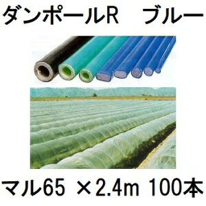 (100{Zbg) _|[R }65 ×2.4m  gl120cm (lzOK)m|x u[ ƒ؉ gl x 돤Xn FGNV