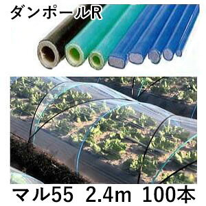 (100�{�Z�b�g) �_���|�[��R �}��55 ×2.4m �� �g���l����120cm (�l��z��OK) �m�ƒ�؉� �g���l�� ���x�n �F���G�N�V��