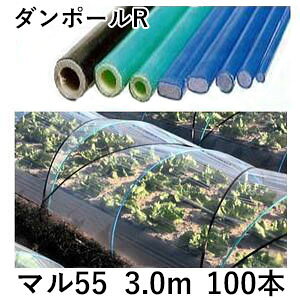 (100�{�Z�b�g) �_���|�[��R �}��55 ×3.0m �� �g���l����120cm (�l��z��OK) �m�u���[ �ƒ�؉� �g���l�� ���x �돤�X�n �F���G�N�V���@saka