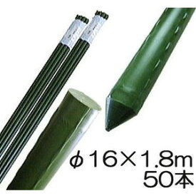 (50本セット) 園芸支柱 イボ付 鋼管竹 φ16mm×1.8m 農業用 イボ竹 シンセイ 16×1800mm(法人個人選択)