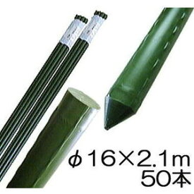 (50本セット) 園芸支柱 イボ付 鋼管竹 φ16mm×2.1m 農業用 イボ竹 シンセイ 16×2100mm (個人宅配送不可)