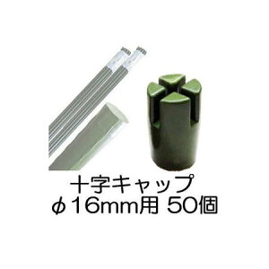 (50Zbg) |xp \Lbv 16mmp VZC