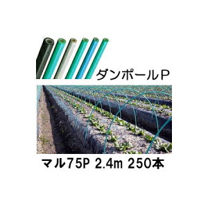 (p250{Zbg) _|[P }75 ×2.4m  gl120cm (lzOK) mglx A[`xn FGNV