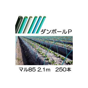 iE11{ȍ~ (p250{Zbg) _|[P }85 ×2.1m  gl100cm (lzOK) mglx A[`xn FGNV