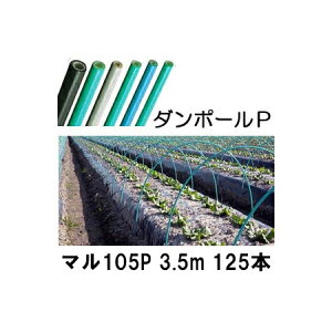 (iE[) (p125{Zbg) _|[P }105 ×3.5m  gl180cm (lzOK) mglx A[`xn