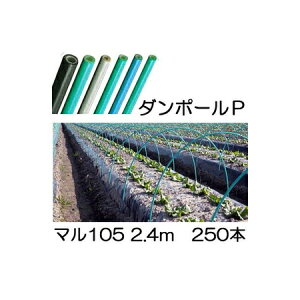 (iE[) (p250{Zbg) _|[P }105 ×2.4m  gl120cm (lzOK) mglx A[`xn FGNV