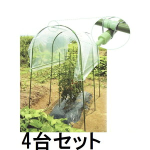 y؃K[fz (4Zbg) ƒ؉ JZbg rj[ J悯Zbg (ls @llI)