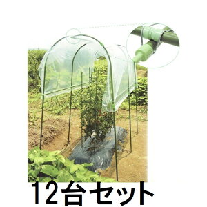 y؃K[fz (4Zbg×3P[X) ƒ؉ J悯Zbg (12Zbg) rj[ (ls @llI)