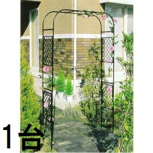 rj[ DAIM XCht[A[` [YA[` D-3 (W) (@llI) m|pi K[fjO 돤Xn