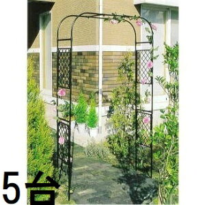 (5Zbg) rj[ DAIM XCht[A[` [YA[` D-3 (W) (ls @llI) m|pi K[fjO 돤Xn